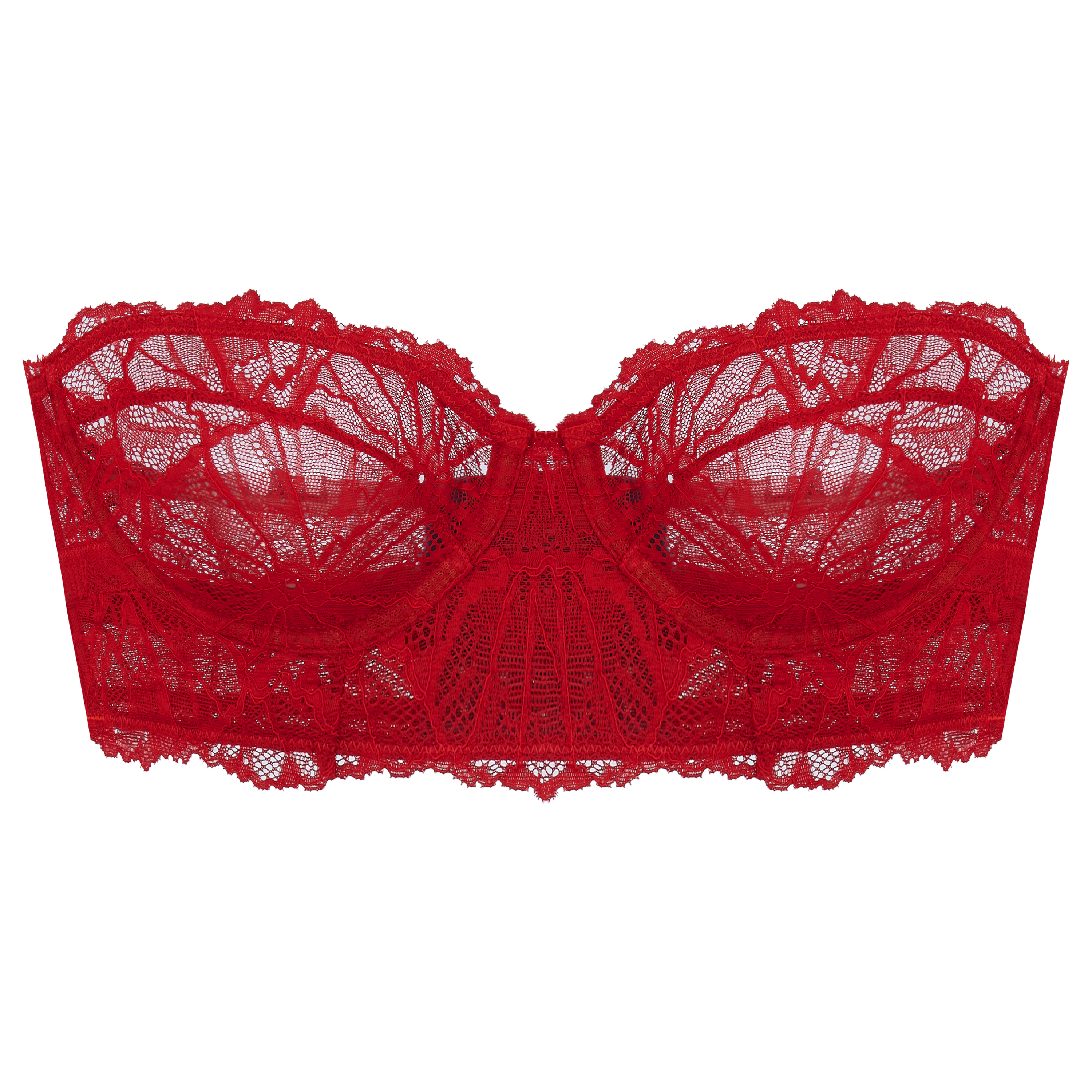 Strapless Fancy Lace Net Padded Tube Bra – Collective Brands