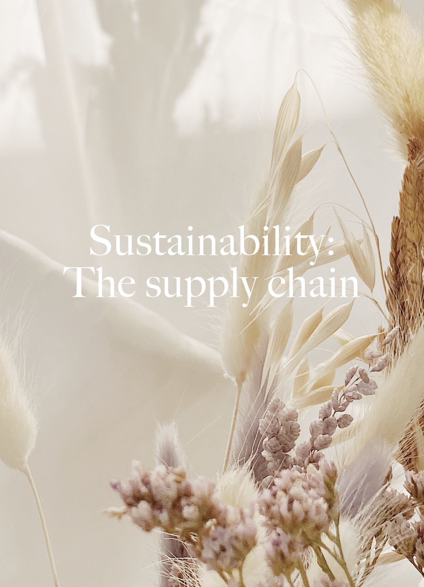 Stories-Sustainability: The Supply Chain - Dora Larsen | Colourful Lingerie