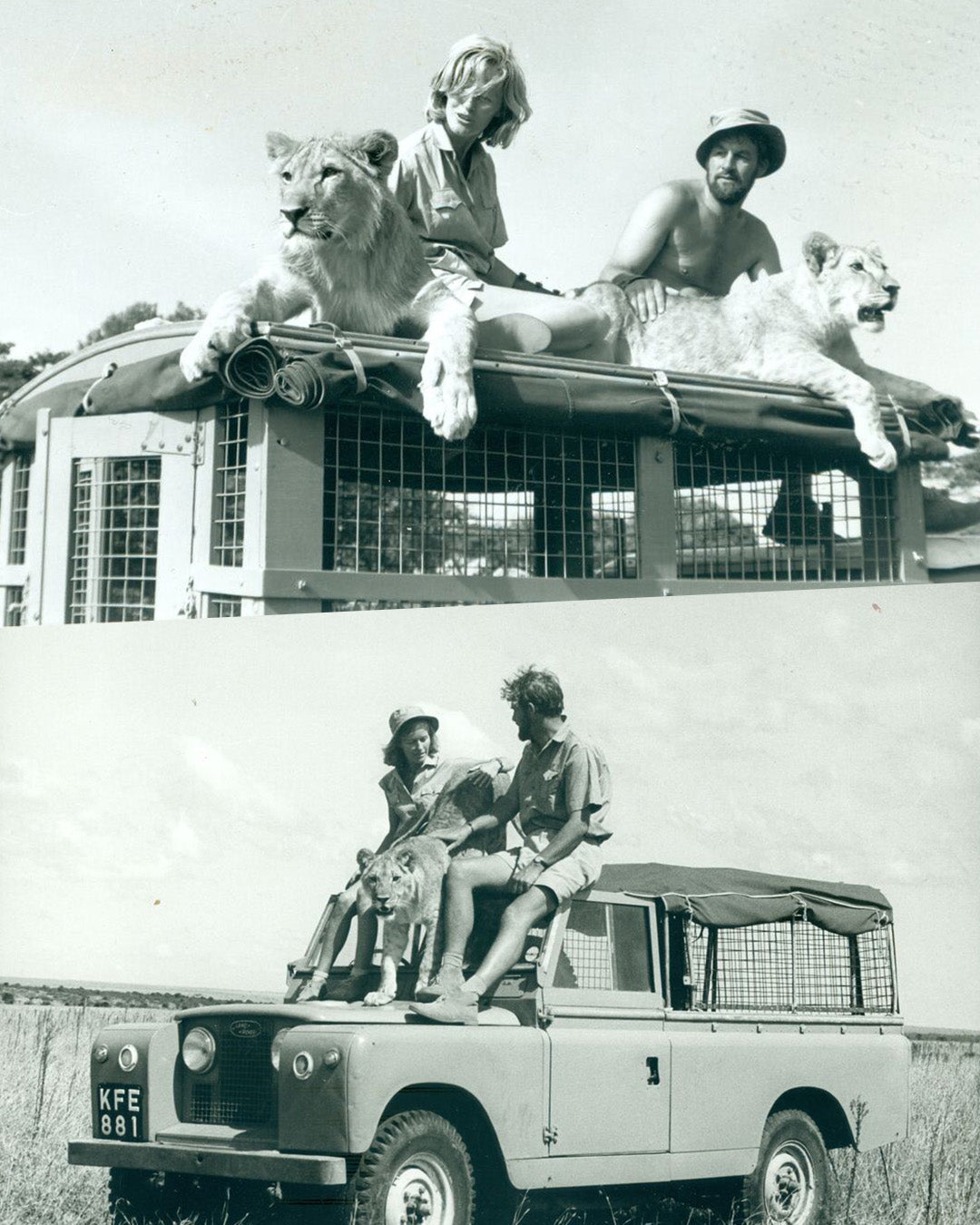 Dora Larsen x Born Free
