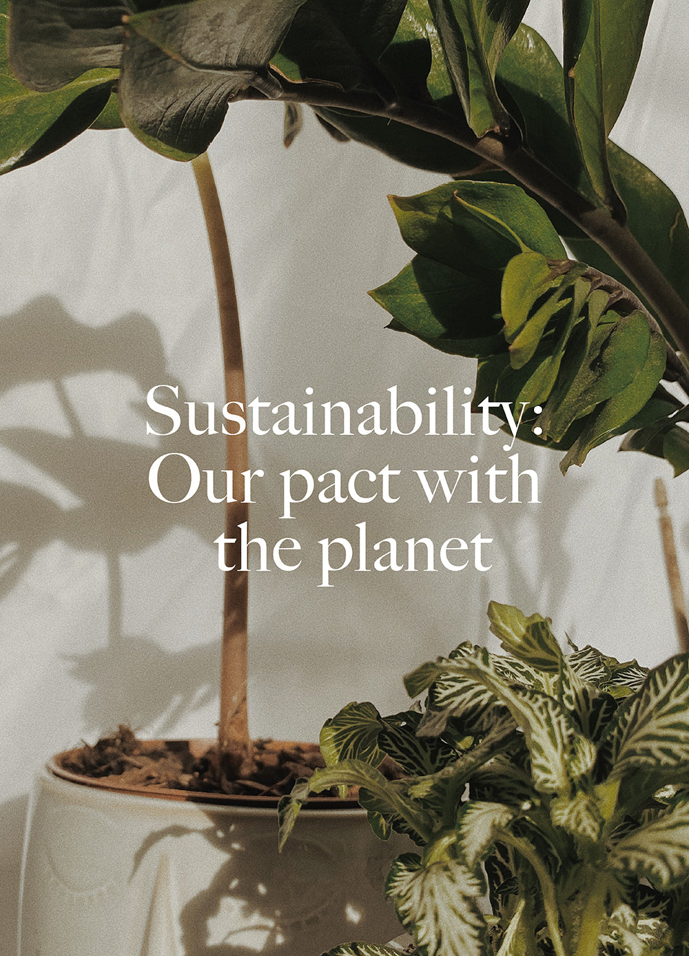 News-Sustainability: Our Pledge with the Planet - Dora Larsen | Colourful Lingerie