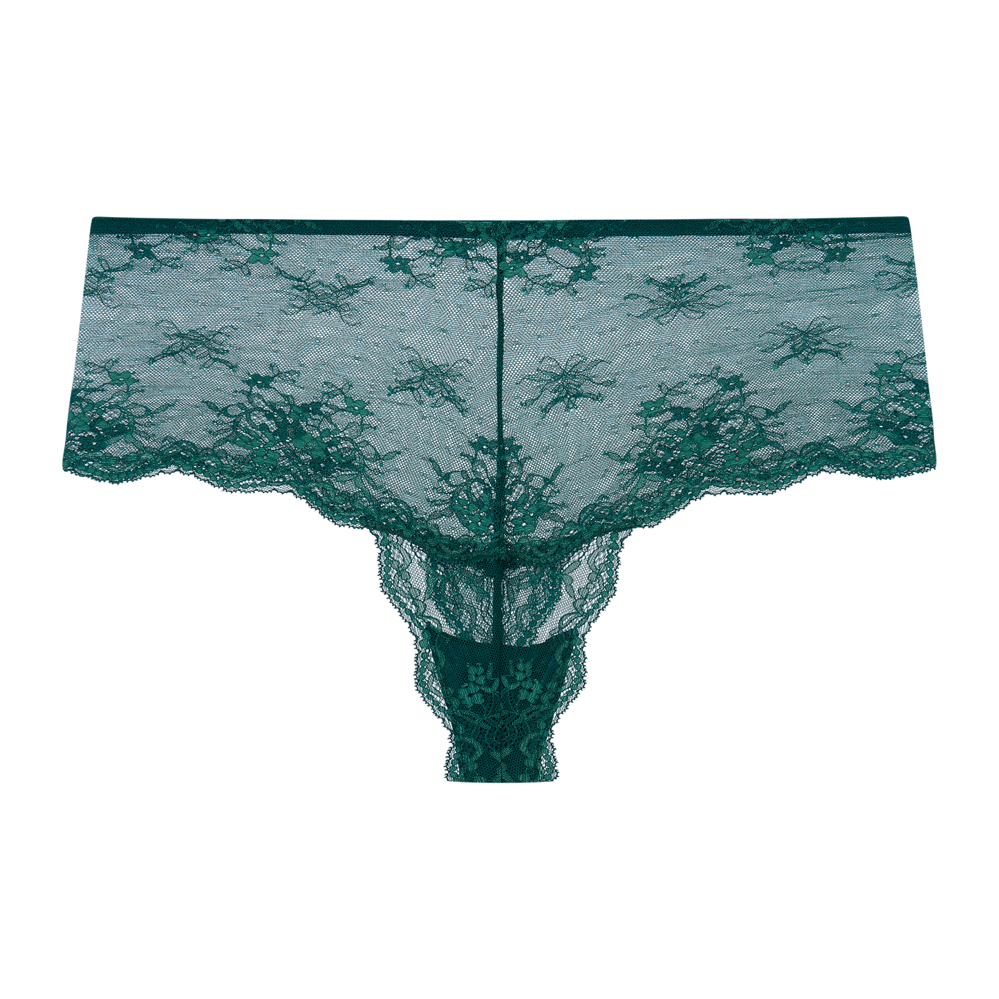 Bryony Floral Lace High Waist Knicker