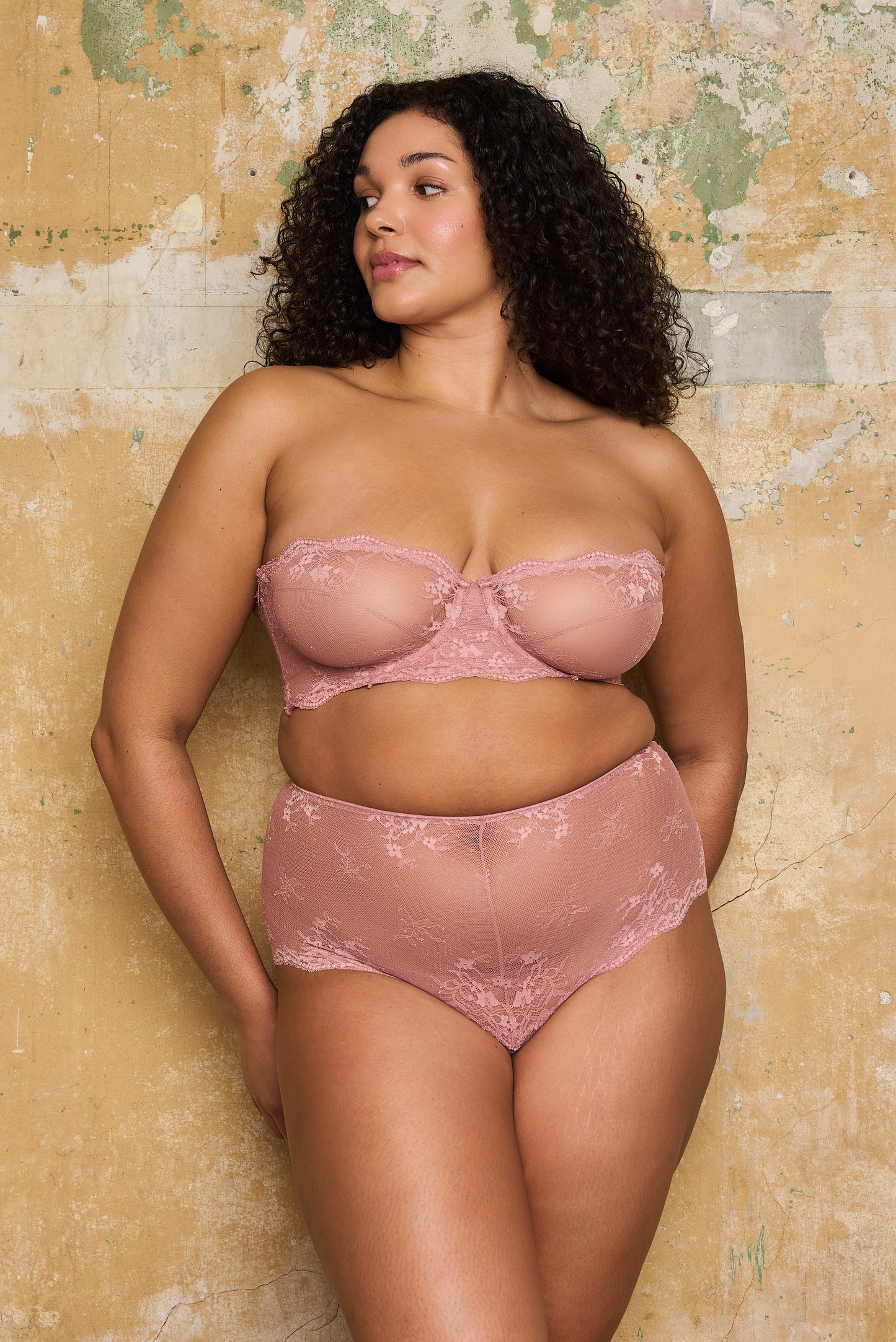 Astra Floral Lace High Waist Knicker