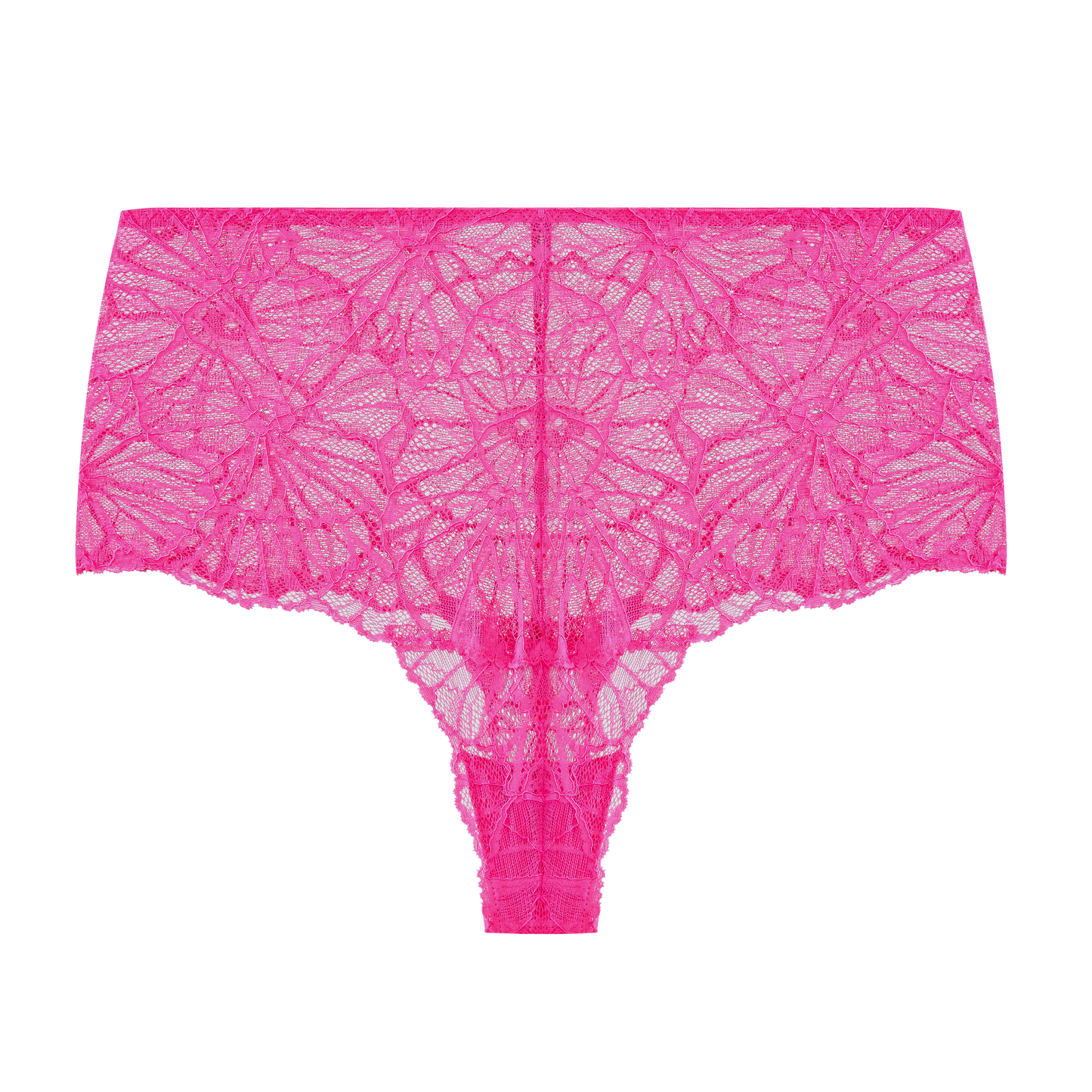 Flora Graphic Lace High Waist Knicker