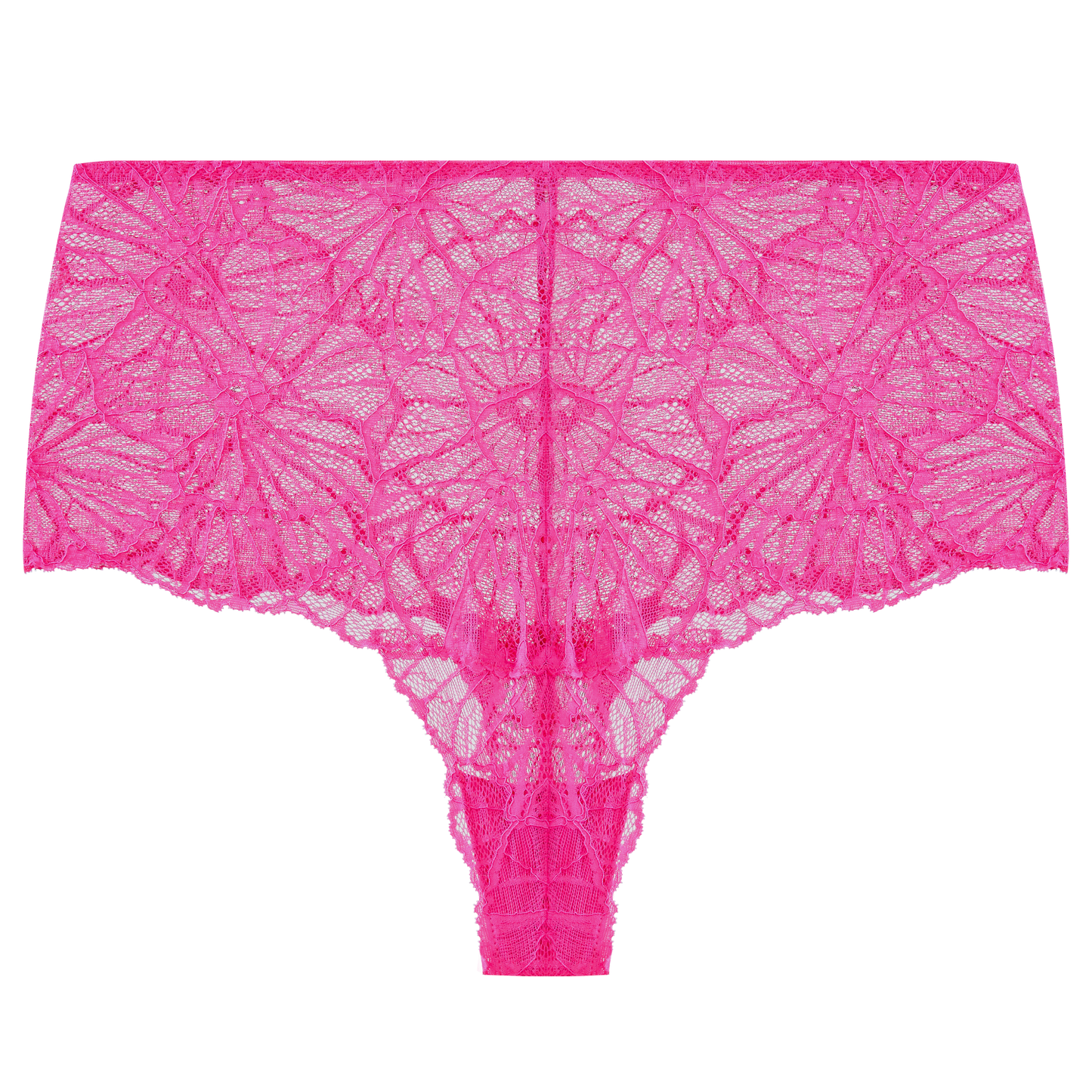 Flora Graphic Lace High Waist Knicker