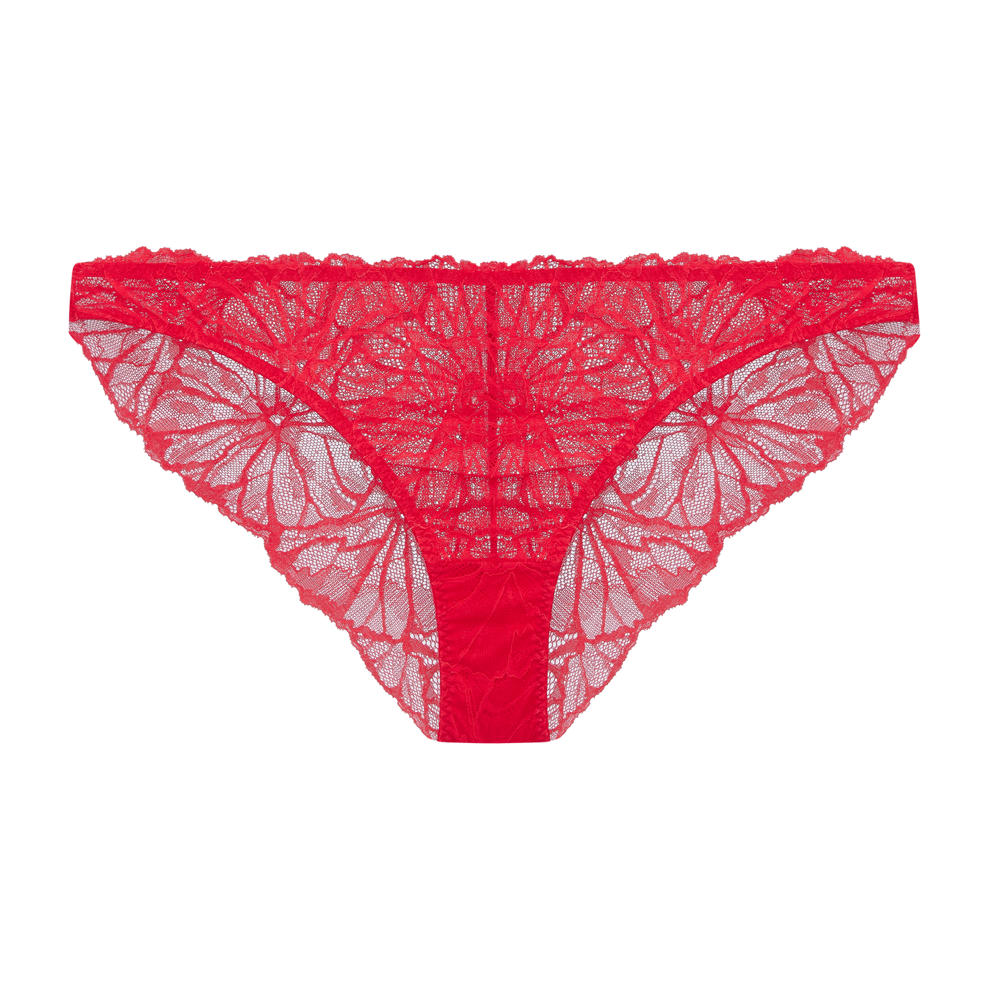 Bea Graphic Lace Knicker