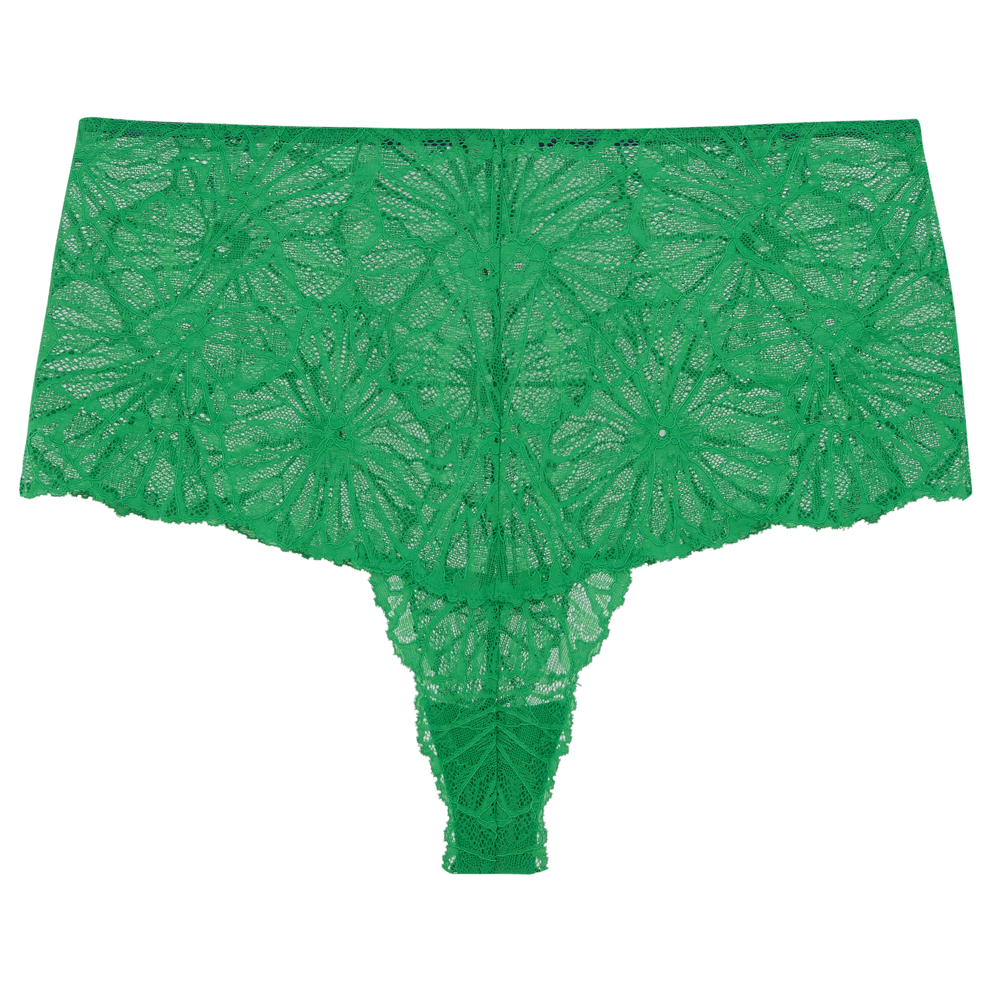 Mia Graphic Lace High Waist Knicker