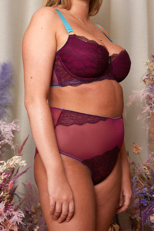 Orla Lace High Waist Knicker